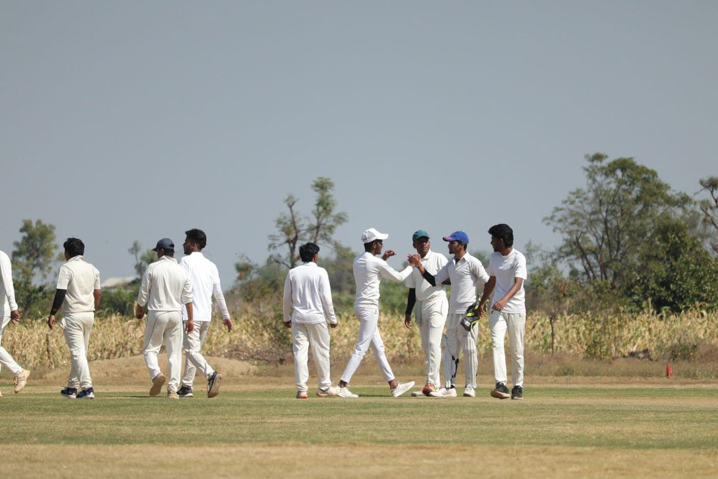 FCC students during an inter-college cricket match